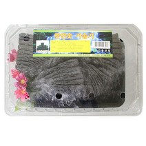 참 숯 가습기 다용도 공기 정화 탈취 요리 숯 공기정화숯 미니 가습기 숯화분 자연 숯인테리어 천연