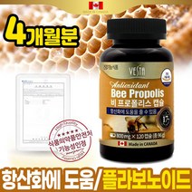 캐나다산 프로폴리스 추출물 플로폴리스 고함량 이마트 트레이더스 프로폴리스 직구 폴리폴리스 항산화영양제 프로폴리스직구 먹는프로폴리스