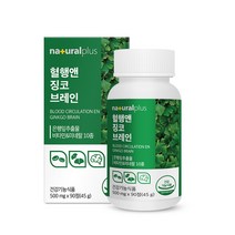 내츄럴플러스 혈행앤 징코 브레인 2박스(6개월분)