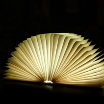 [천삼백케이] [디자인에버] 다이어리 북 led 대형 무드램프 (책조명), 브라운