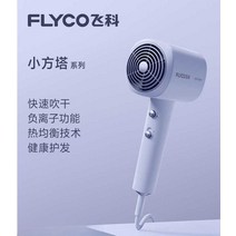 Feike 가정용 헤어드라이기추천 드라이기 헤어드라이어, 그린+종이백