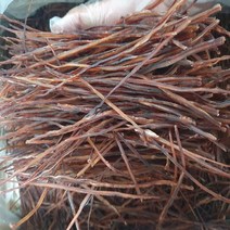 이카소면 오징어귀채 400g 오징아소면 이카소멘, 오징어귀채(이카소면)400g