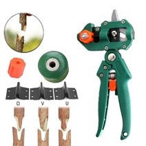 접목 가지 정원 전정 식물 과일 나무 예방 접종 가축, 3.green