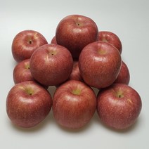 영주사과 껍질째 먹는 햇 꿀사과 부사 선물용 가정용 5kg 10kg, 1box, 5kg 햇부사 17-21과과