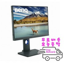 BenQ SW240