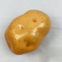 어린이집 학습용 모형채소 모형장식 침실꾸미기, 고구마