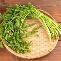 나주 세척 미나리 1kg