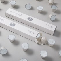2+1 달이다 티캡슐 보중익기차