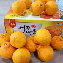 2023년 나영이네농장 고당도 한라봉 제주산 청견오렌지 4.5kg 9kg- 실중량 달아요, 한라봉 9kg(30~39과)대과-벌크