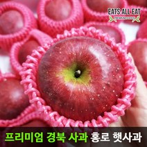 이츠올릿 경북 햇 홍로 부사 꿀 사과 5kg 정품 꼬마과(25-28과) 껍질째 먹는 청송 안동 문경 장수