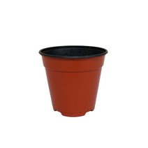 이색포트 브라운 8호, 이색화분 갈색 8호