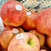 치밀한 매력 엔비사과 5kg내외 (18-21과/가정용/실중량), 1개