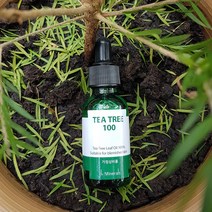 닥터미네랄 티트리100 호주산 유기농 티트리잎 에센셜 오일 100% 원액 30ml, 1개