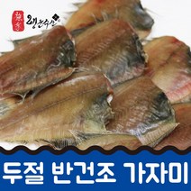 반건조 두절가자미 1kg 15cm내외, 22cm내외