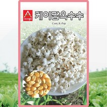 케이팝옥수수 씨앗 옥수수 씨 종자 20g, 단품