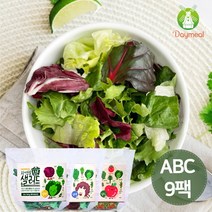 데이밀 자연을담은 샐러드 실속 혼합구성 100g x 9팩 국내산 ABC야채믹스, 이탈리안소스 9개