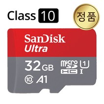 샌디스크 블랙캠 BCH-1200 블랙박스SD카드 32기가, 32GB
