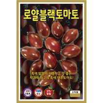 토마토 로얄블랙 10립/가정원예용채소/텃밭용씨앗/과채류