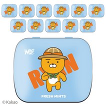 임팩트 카카오프렌즈 민트 무설탕 캔디 7종 6개입 X2개 독일산 직수입, 라이언(프레쉬민트) 12개입, 단품