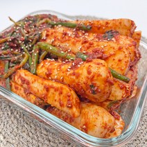 올바른새움푸드 농가수제 매콤 아삭 알타리김치 총각김치, 총각김치 5kg