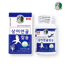 상어연골 칼슘 캡슐 호주산 상어연골 분말 성장기 청소년 임산부 수유부 갱년기 여성 중년 남성 노년기 실버 칼슘제 보충 뼈 치아 건강 영양제 기능식품, 1통, 상어연골 칼슘 60캡슐