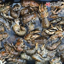 쏙 감성돔 생 미끼 바다 갯 바위 낚시 찌 흘림 선상 설게 국산, 생미끼 쏙 (1팩)