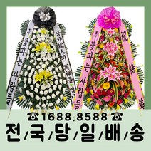 우리꽃연구소 장미 코디얼, 650g, 1개