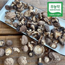 금성농장 무농약인증 생 표고버섯, 국물용통표고 100g