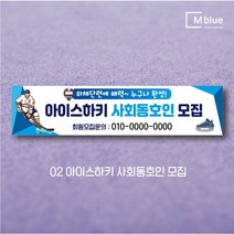 엠블루09 겨울 스키 스노보드 아이스하키 스키스노보드 스키보드캠프 스키동호회 겨울여행 기차여행 겨울나들이 눈꽃여행 힐링여행 어린이집 동호회현수막 행사현수막, 아이스하키 사회동호인 모집