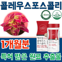 식약처 인증 기능성 인정 특허 받은 식물성 원료 콜레우스 포스콜리 추출물 체지방 체중 제중 감소 도움 클레우스 포스컬리 500mg 체지방 제지방 량 증가 무 첨가 물 없는 추천, 1