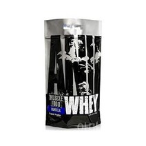 Whey 동물성 분리 유청 단백질 파우더 운동 회복 프로틴 복합단백질 보충제, 10 Pound (Pack of 1), 바닐라