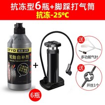 자전거 타이어 튜브 전기차 공용 타이어 자가보충액 바이크 진공 전용 자동보충액 보수 접착, 06 【부동액】부식방지 자가보충액-6병+스탠드식 풋펌프