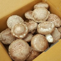 (강원)김삿갓 생표고버섯 하(업소용)4kg, 개