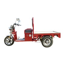 이지모터스 EG 300N 72V 노인 전동 스쿠터 전기 삼륜차 사륜차 플러그인 오토바이 농업용 짐실이 덤프, 대구경북