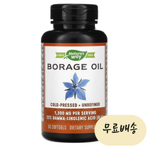 네이처스 웨이 감마리놀렌산 리놀레산 GLA 보리지 오일 300mg 소프트젤 60정, 1개, 60개