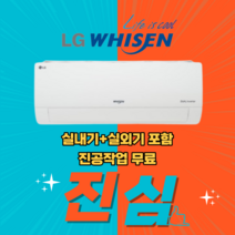 LG 휘센 벽걸이 에어컨 인버터 냉방 6평형 SQ06BCAWBS 실외기포함 설치비별도 가정용 원룸, SQ16BCKWAS(16평형), SQ16BCKWAS