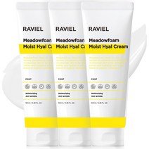 라비엘 메도우폼 모이스트 히알 수분크림, 3개, 100ml