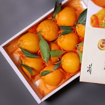 신선식품(브랜드없음) [온도씨]제주 한라봉 선물세트 4.5kg 대과 10-14과내외, 단품없음