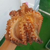통영 자연산 활 돌문어, (생물)돌문어 1.5kg(1-2마리), 1개