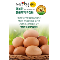 농협안심계란 행복한 동물복지유정란 20개입 40개입, 20구, 1개