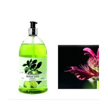 루디 아로마틱센트 거품목욕 바스폼 샤워젤 (버가못) US8152K, 쿠팡 1, 쿠팡 본상품선택