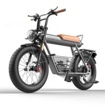 COSWHEEL 코스휠 20인치 전기 자전거 750W 전동 펫바이크 자토바이 배달 출퇴근, 그레이-25AH