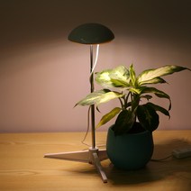 Heyniu 식물등 LED 식물조명 ZWD003, 1개