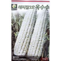 해피찰3호 옥수수씨앗70립 다농종묘 달고 찰진 중만생종 흰찰옥수수