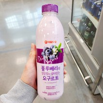 서울우유 서울우유 블루베리 상큼 요구르트 750ml x 2개, 아이스박스포장