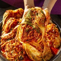 당일 담가 보내드리는 맛있게 매운 습습 실비김치, 1kg