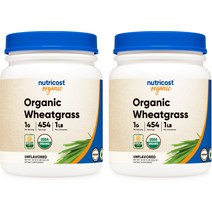 위트그래스 파우더 60회분 2병, 단품