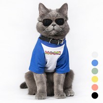 강아지 고양이 도글라스 냥글라스 고글 선글라스 안경 (6color), 투명