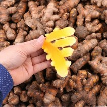 울금(특) 1kg 팔팔마켓 국산 생 율금 강황뿌리 판매
