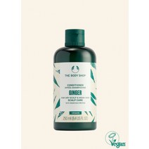 더바디샵 진저 스캘프 케어 컨디셔너 250ML CONDITIONER GINGER 97896